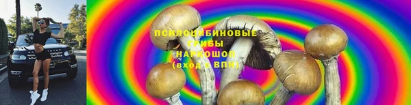 стафф Горно-Алтайск
