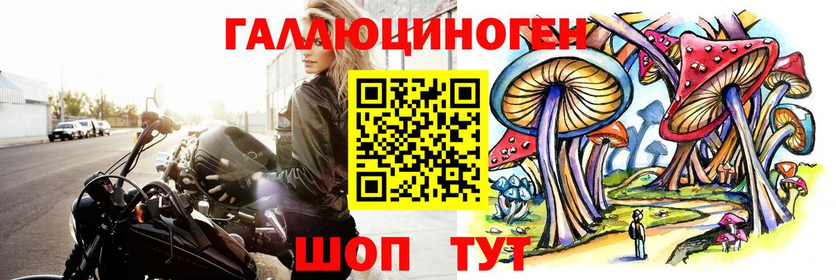 Галлюциногенные грибы Psilocybe  Псилоцибиновые грибы Cubensis  Грозный 