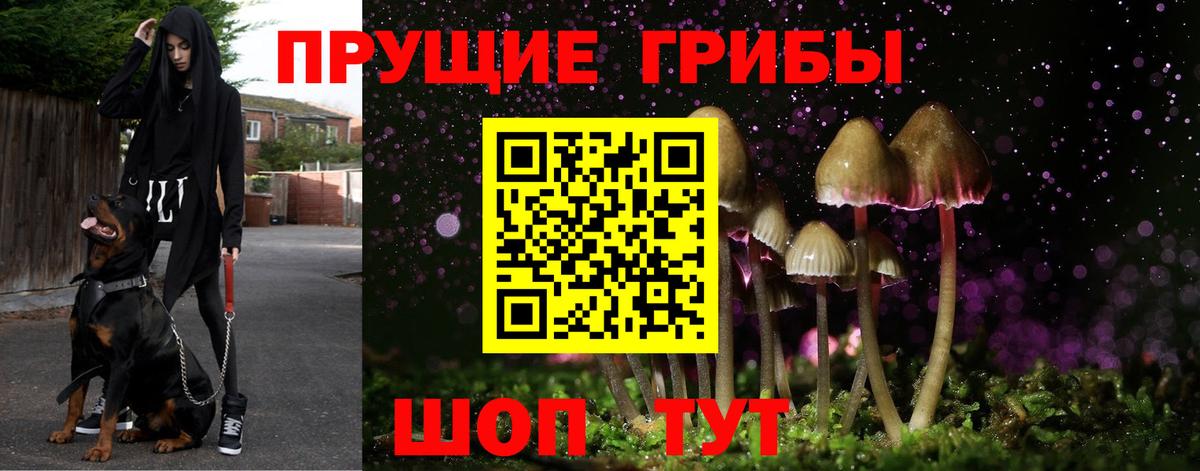 Галлюциногенные грибы мухоморы Грозный