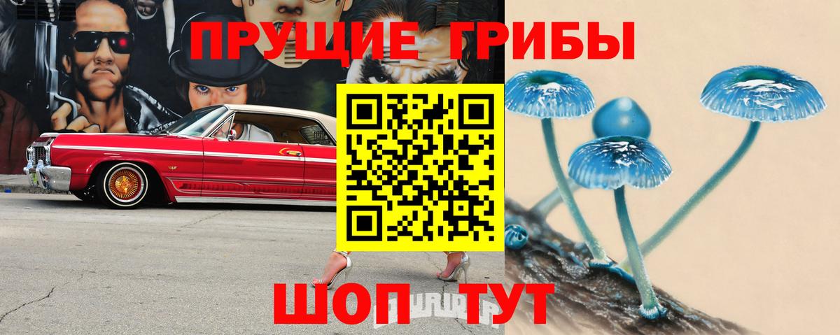 Псилоцибиновые грибы GOLDEN TEACHER  Вход с VPN  Грозный 